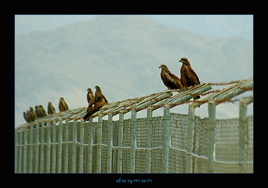 bagram27