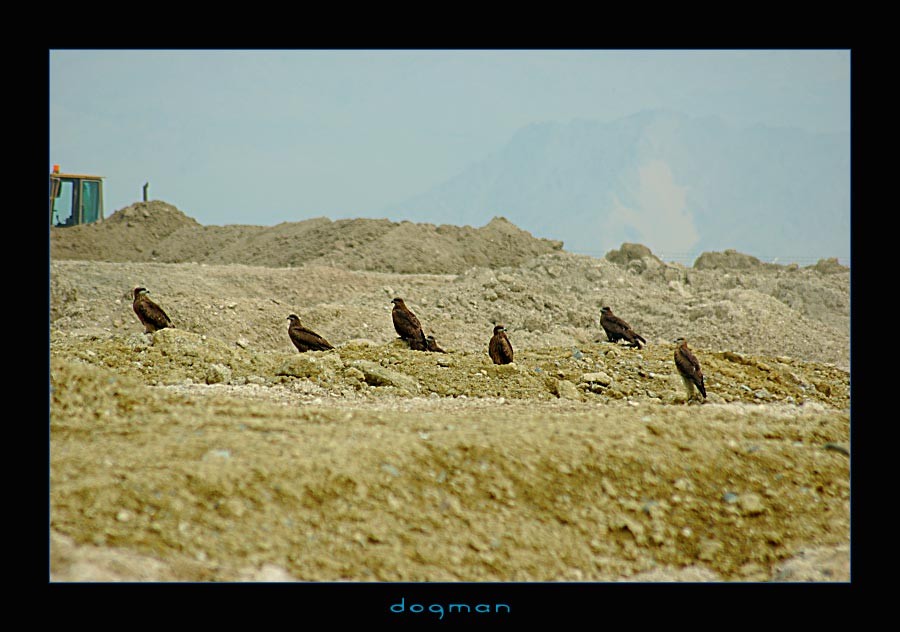 bagram28