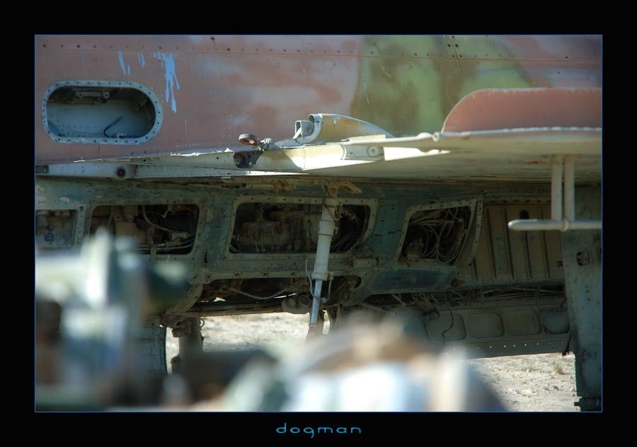 bagram39