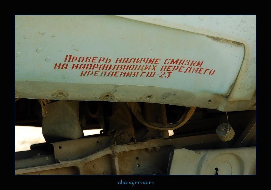 bagram44
