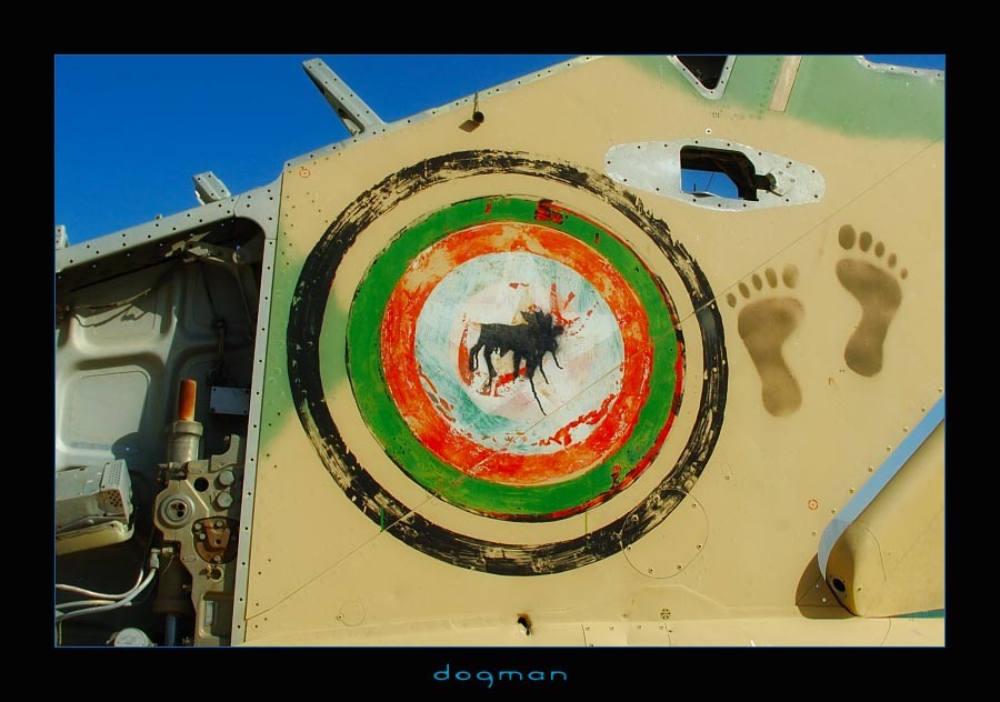 bagram49