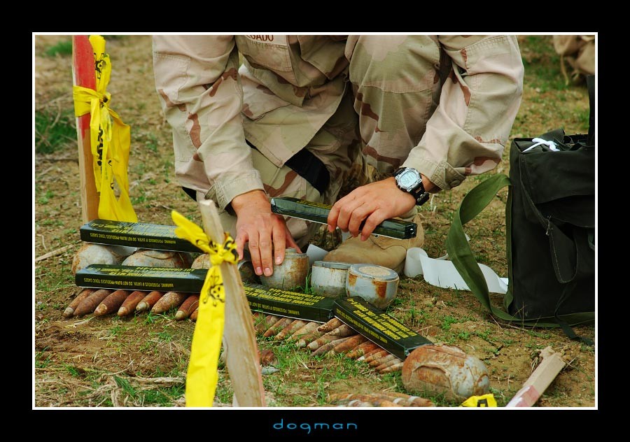 eod12