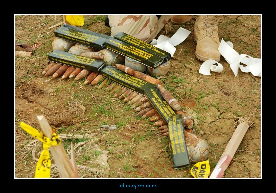 eod13
