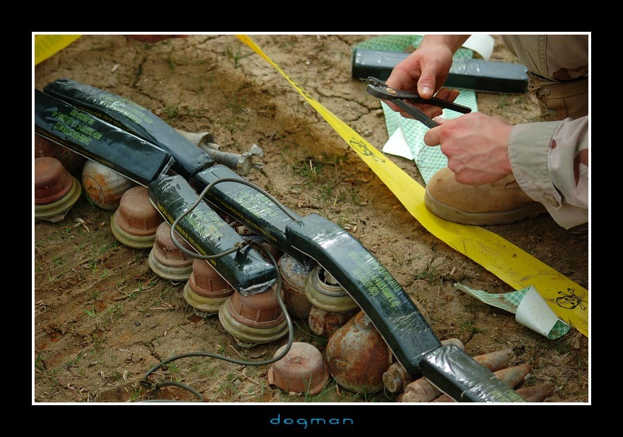 eod21