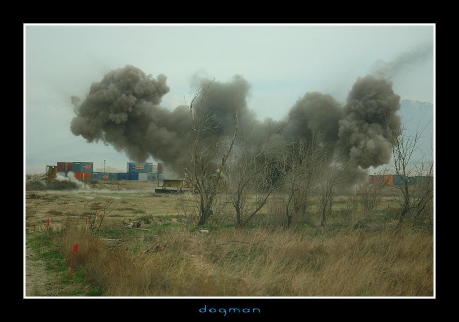 eod29