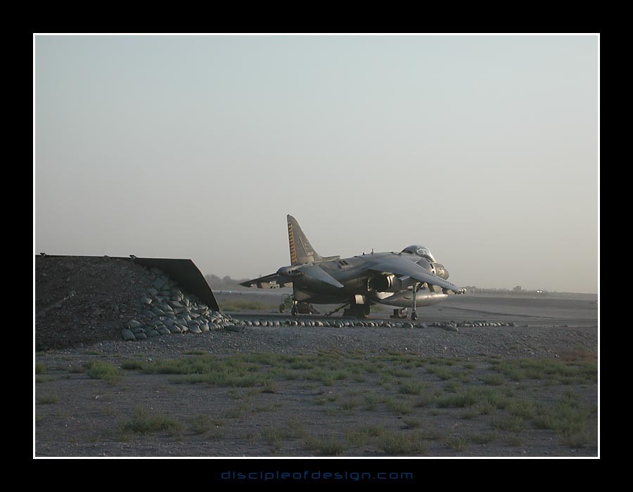 kafharrier01