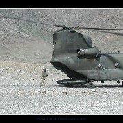 abadchinook01