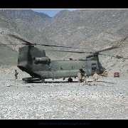 abadchinook02