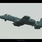 bagram14