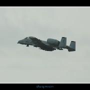 bagram15