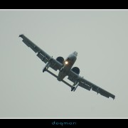 bagram16