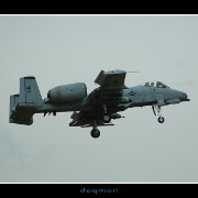 bagram17