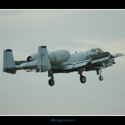 bagram18