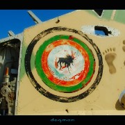 bagram49