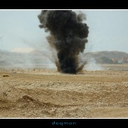 eod33