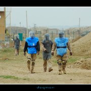 eod34