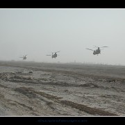 kafchinooks01