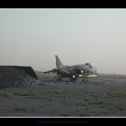 kafharrier01