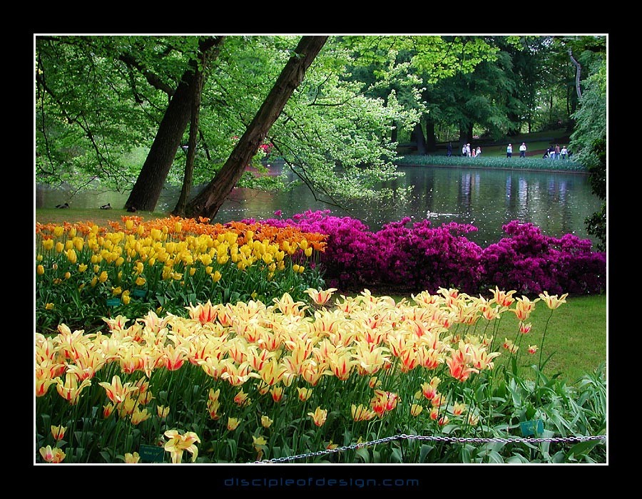keukenhof01