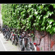 bikes01