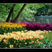 keukenhof01