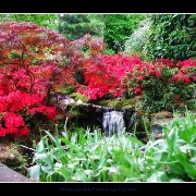 keukenhof02