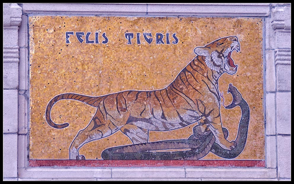antwerp05