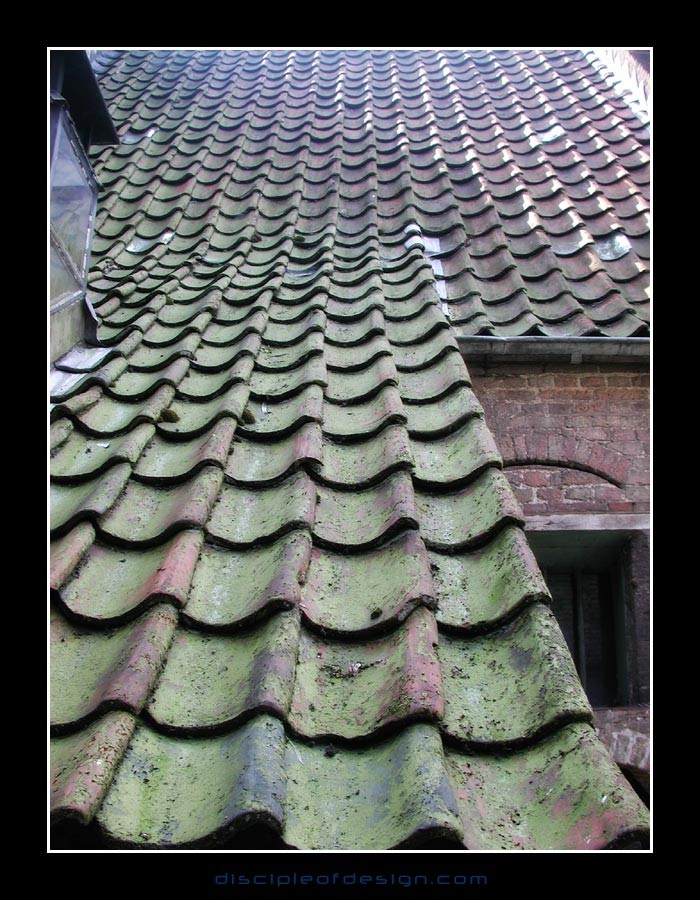 bruggeroof01