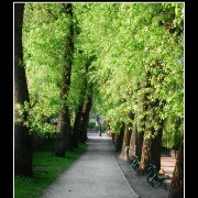 bruggepark03