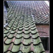 bruggeroof01