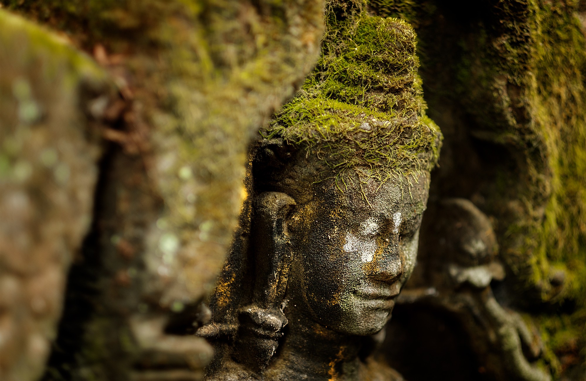 taprohm01b