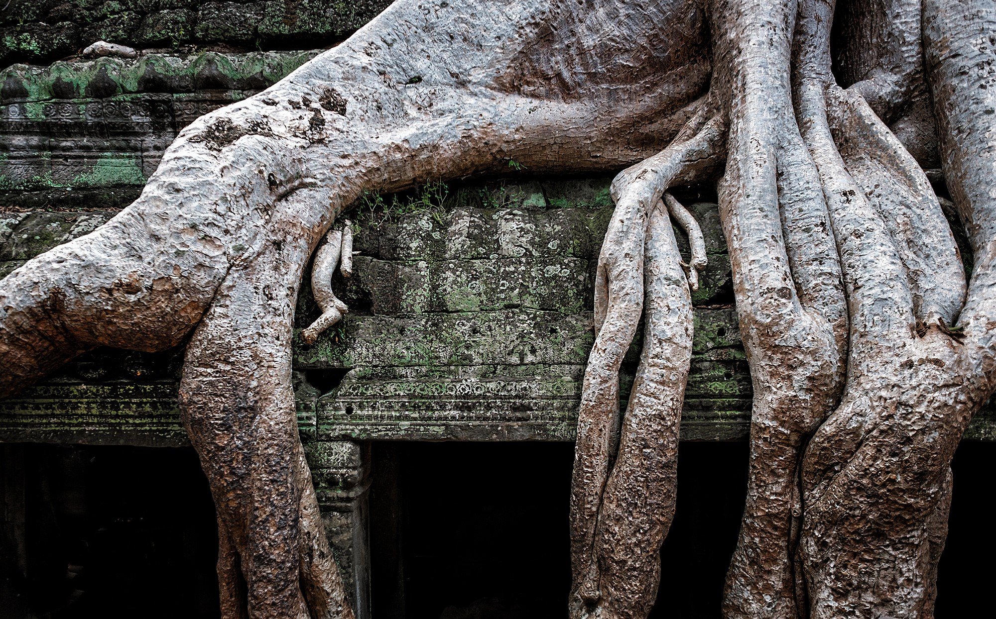 taprohm03b