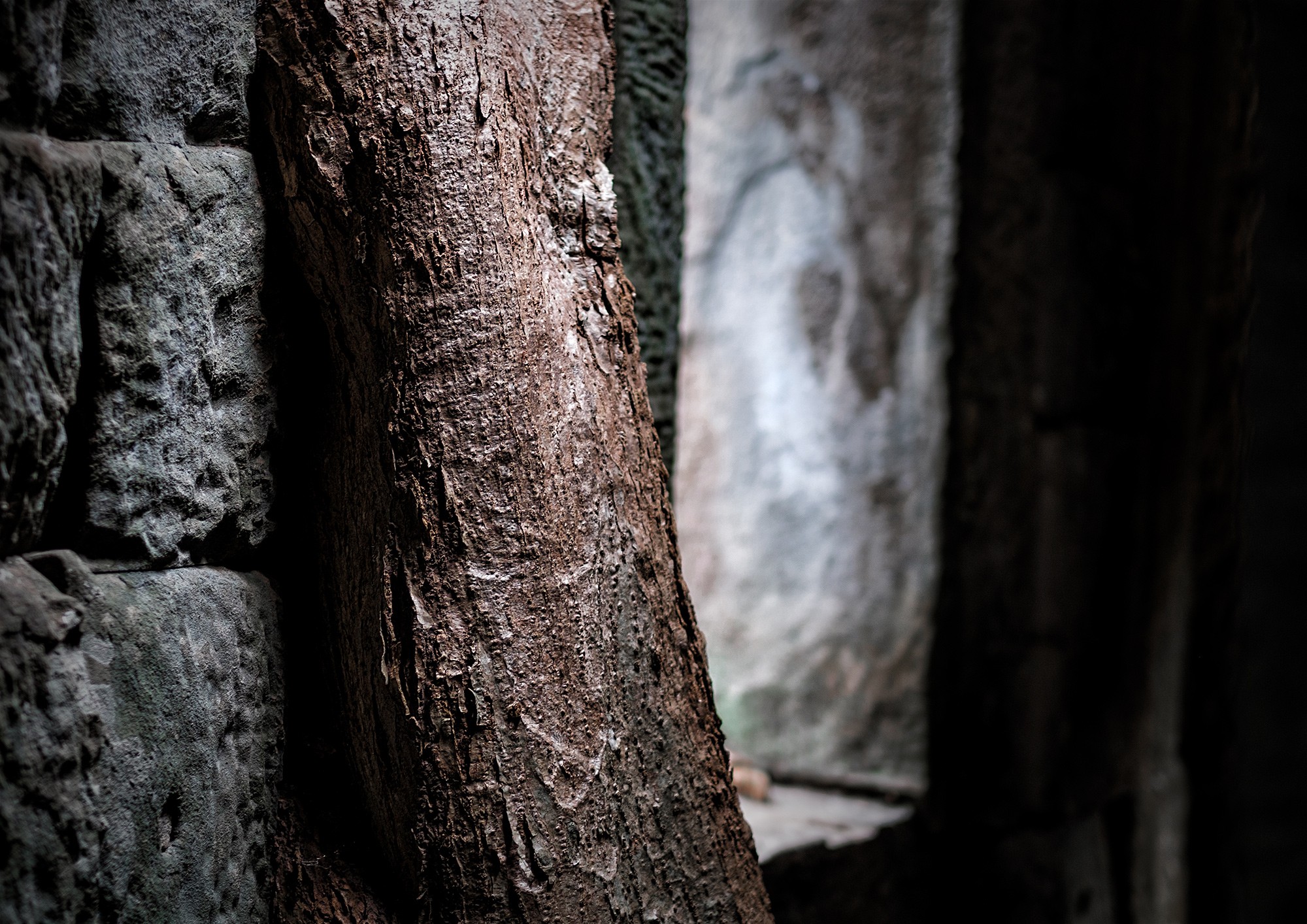 taprohm06b