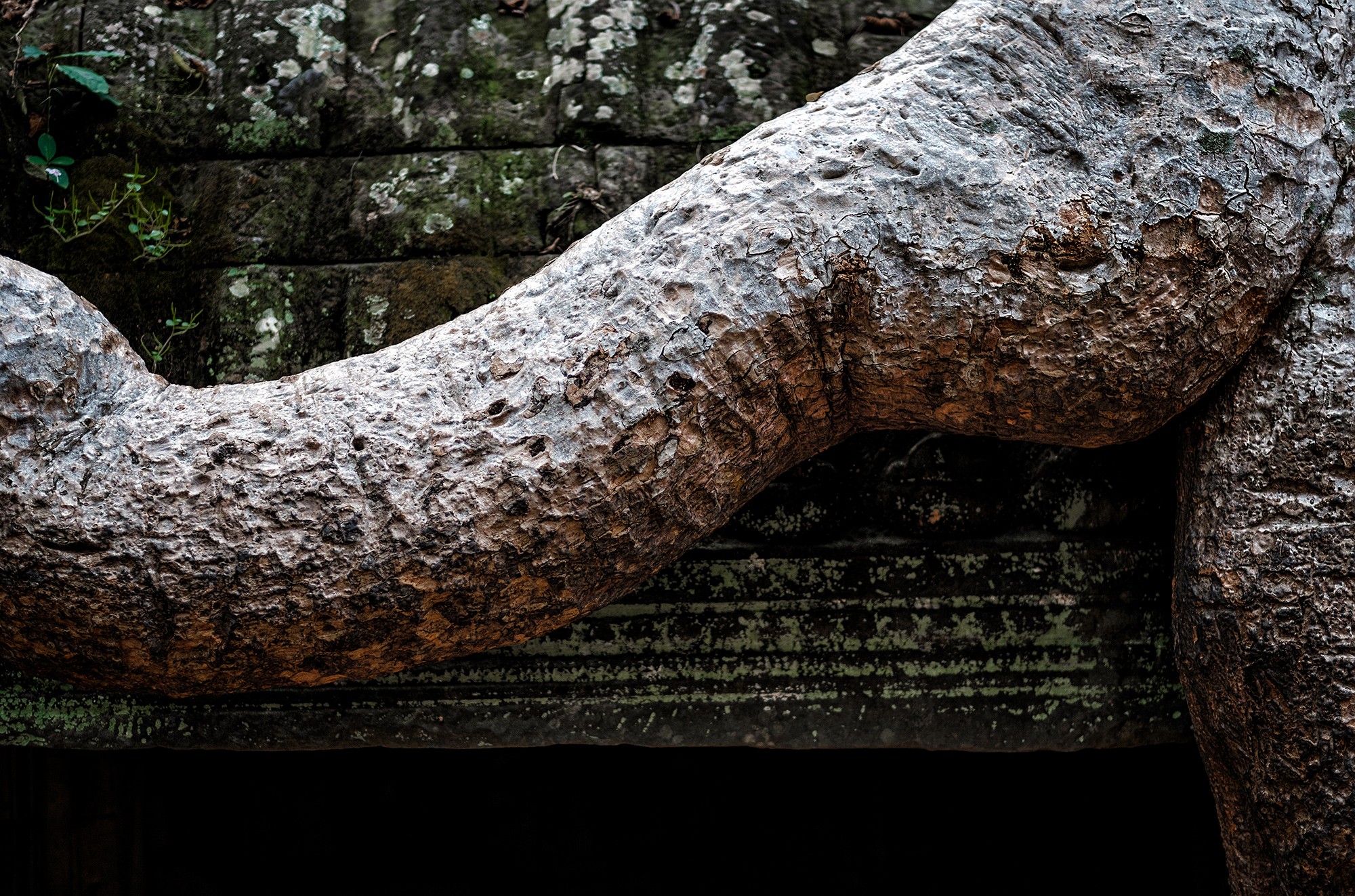taprohm07b