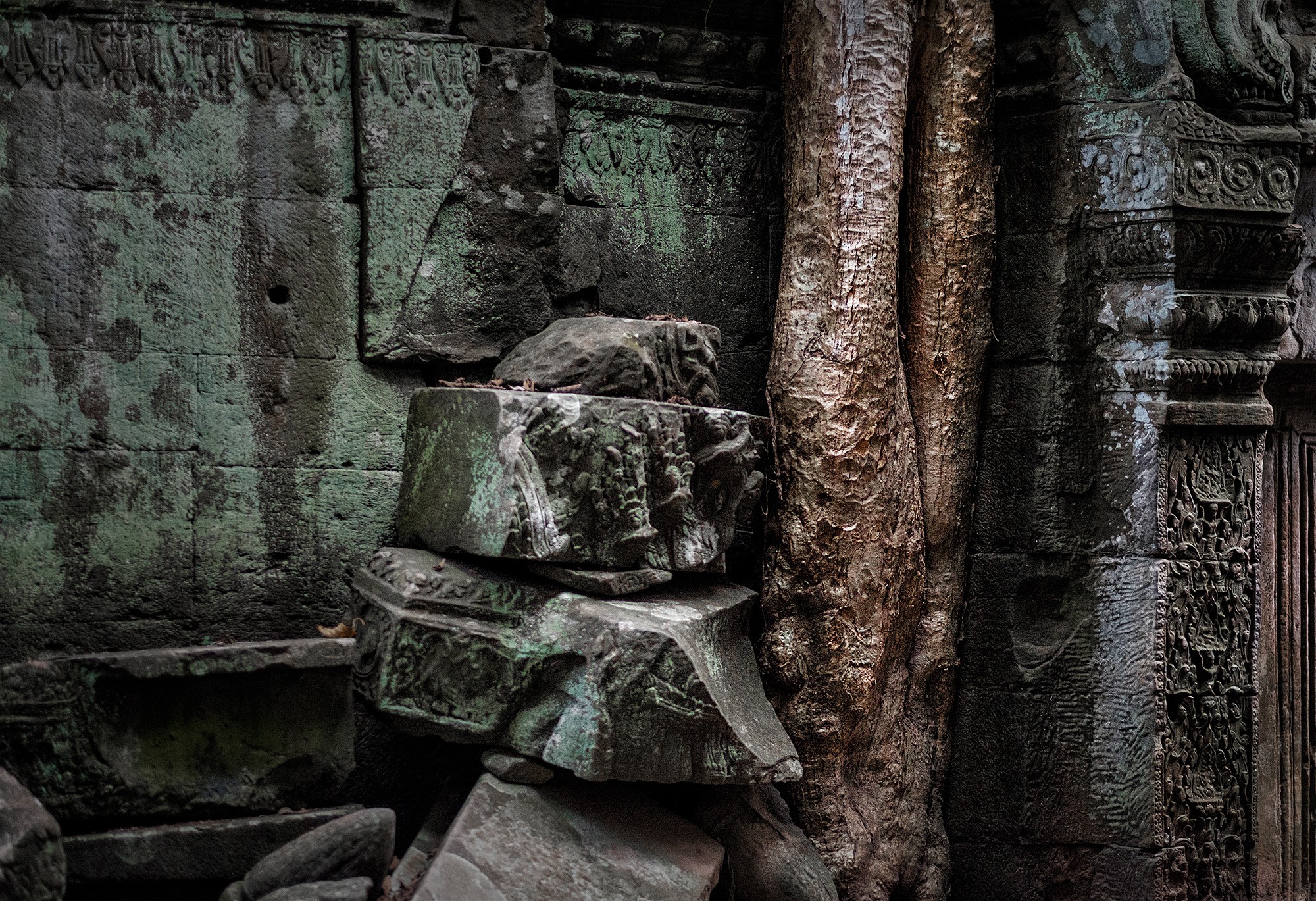 taprohm08b