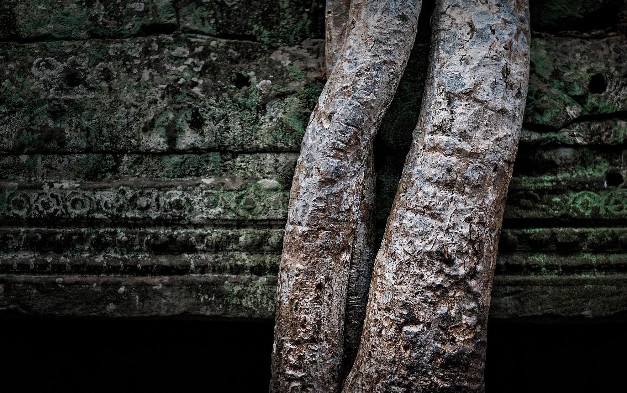 taprohm09b