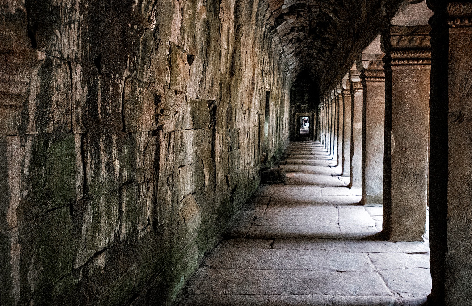 taprohm14b