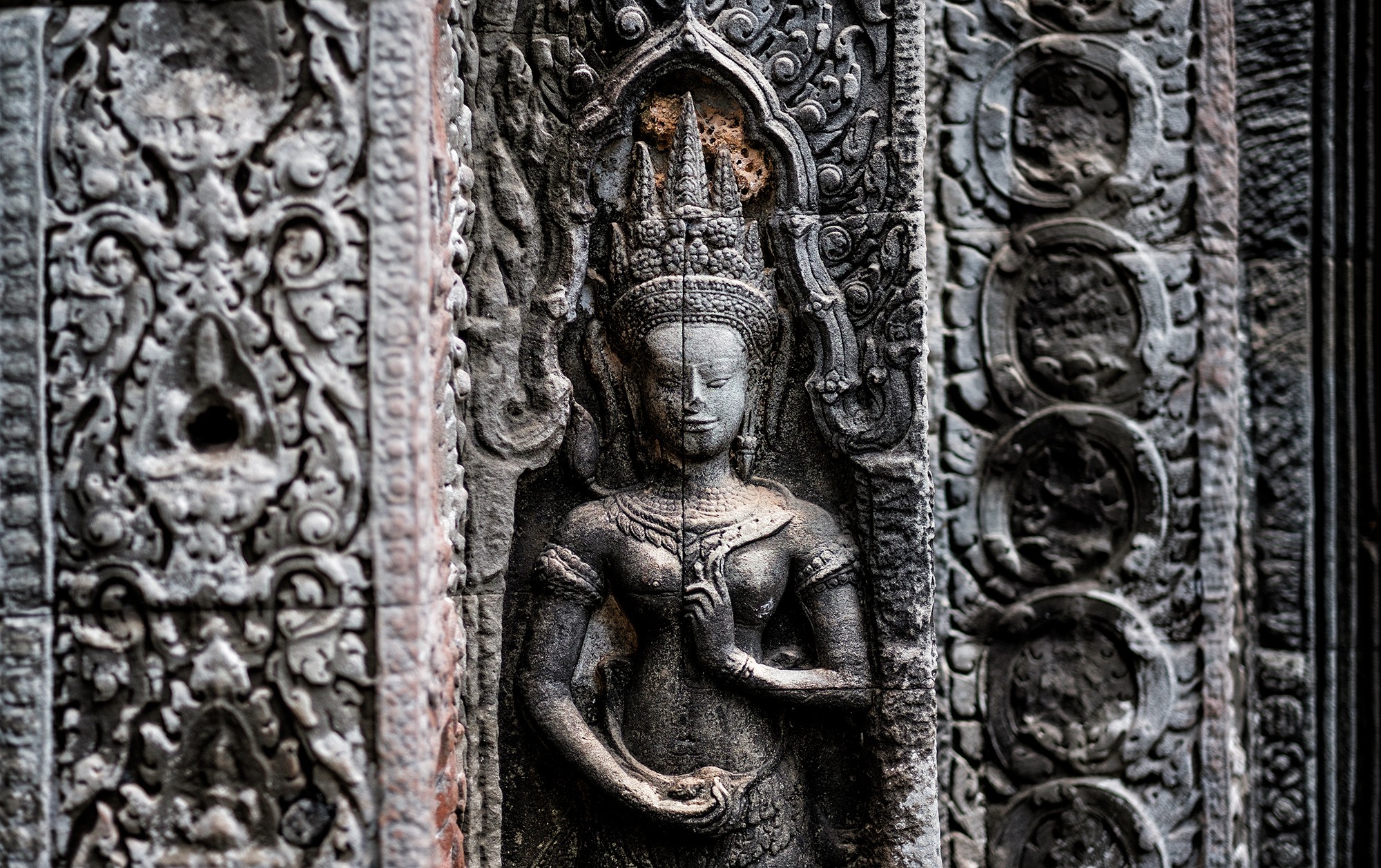 taprohm15b