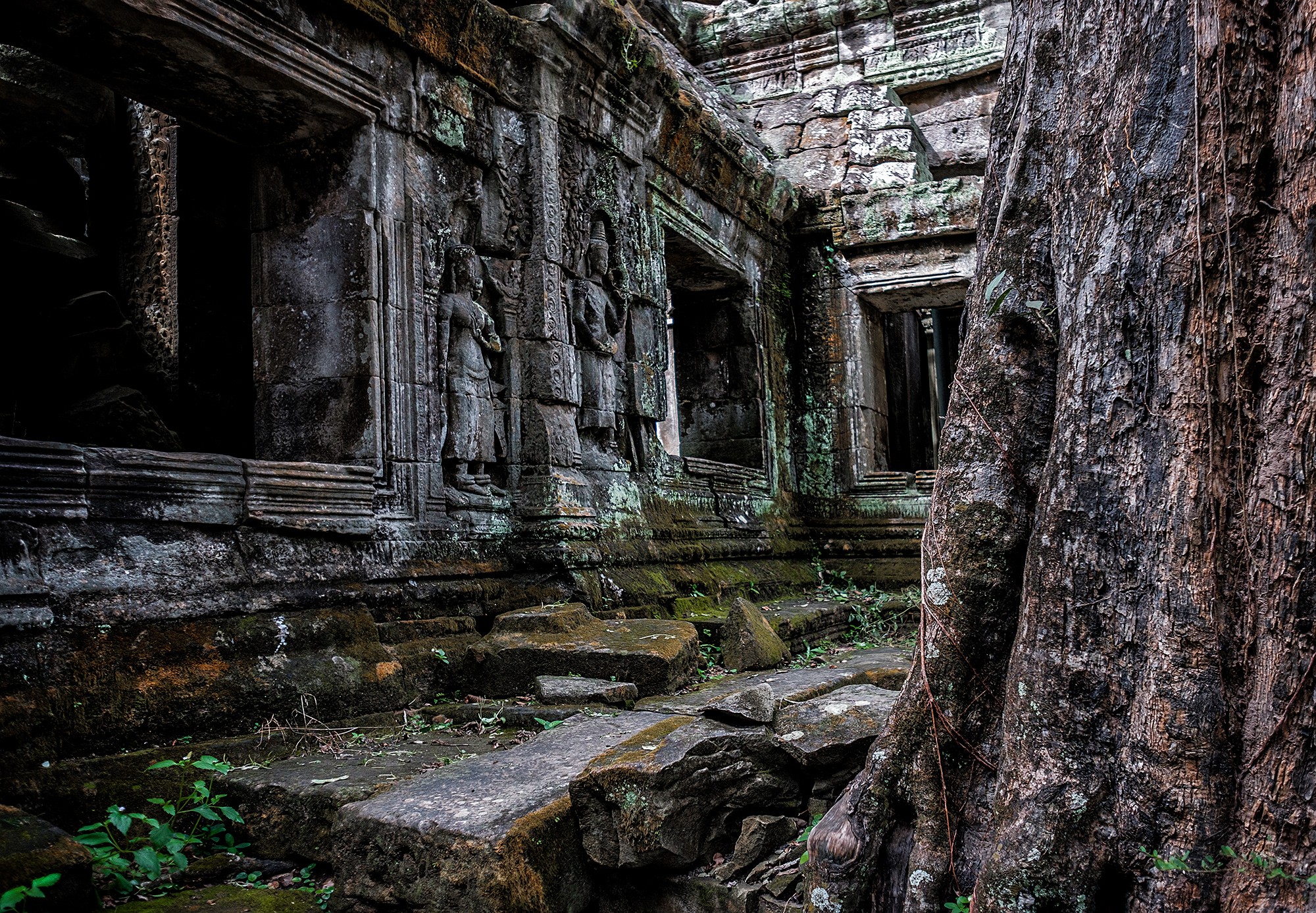 taprohm19b
