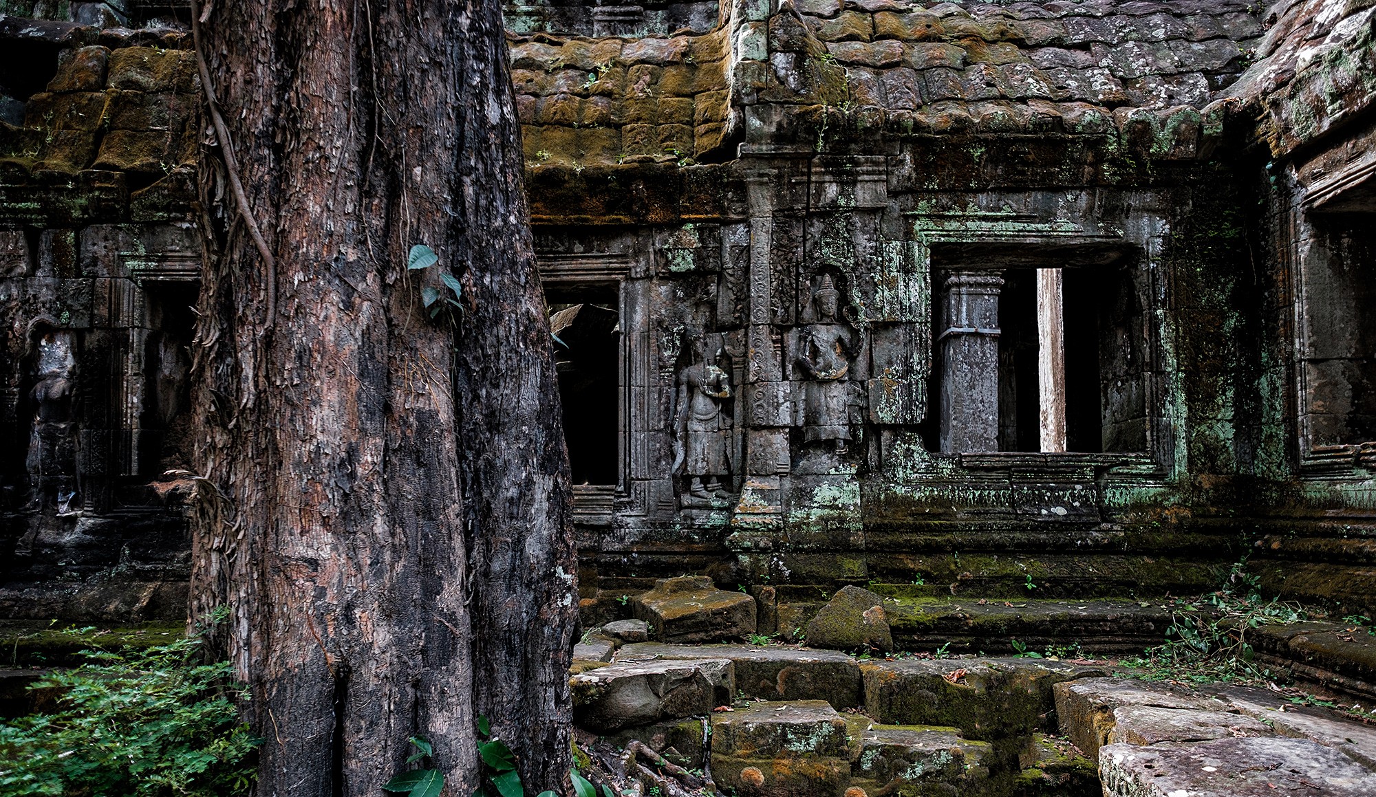 taprohm20b