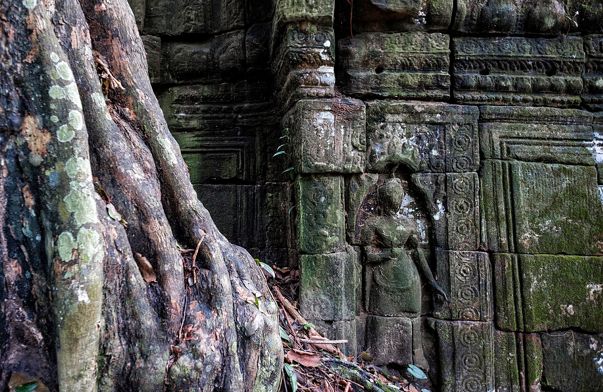 taprohm21b