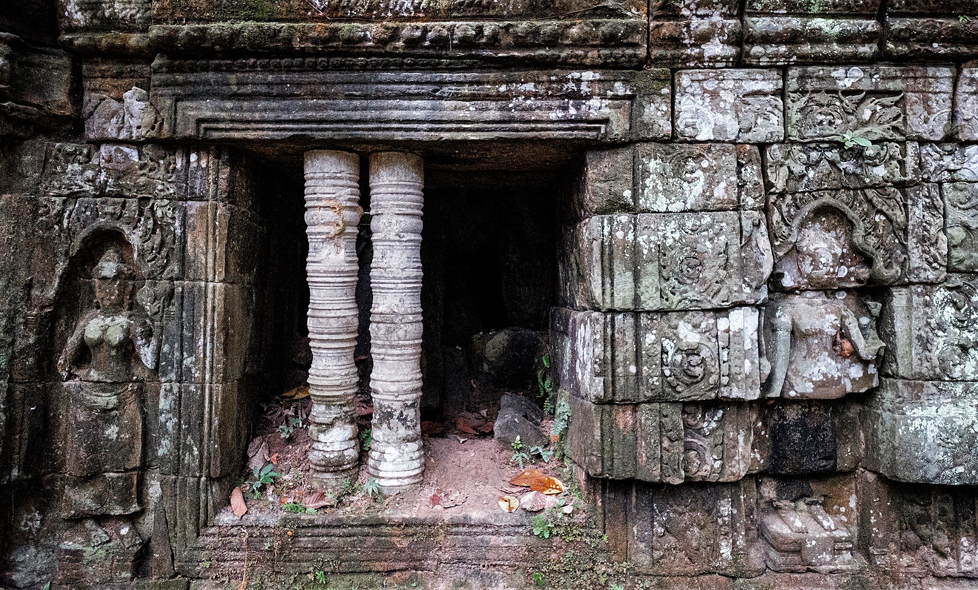 taprohm22b