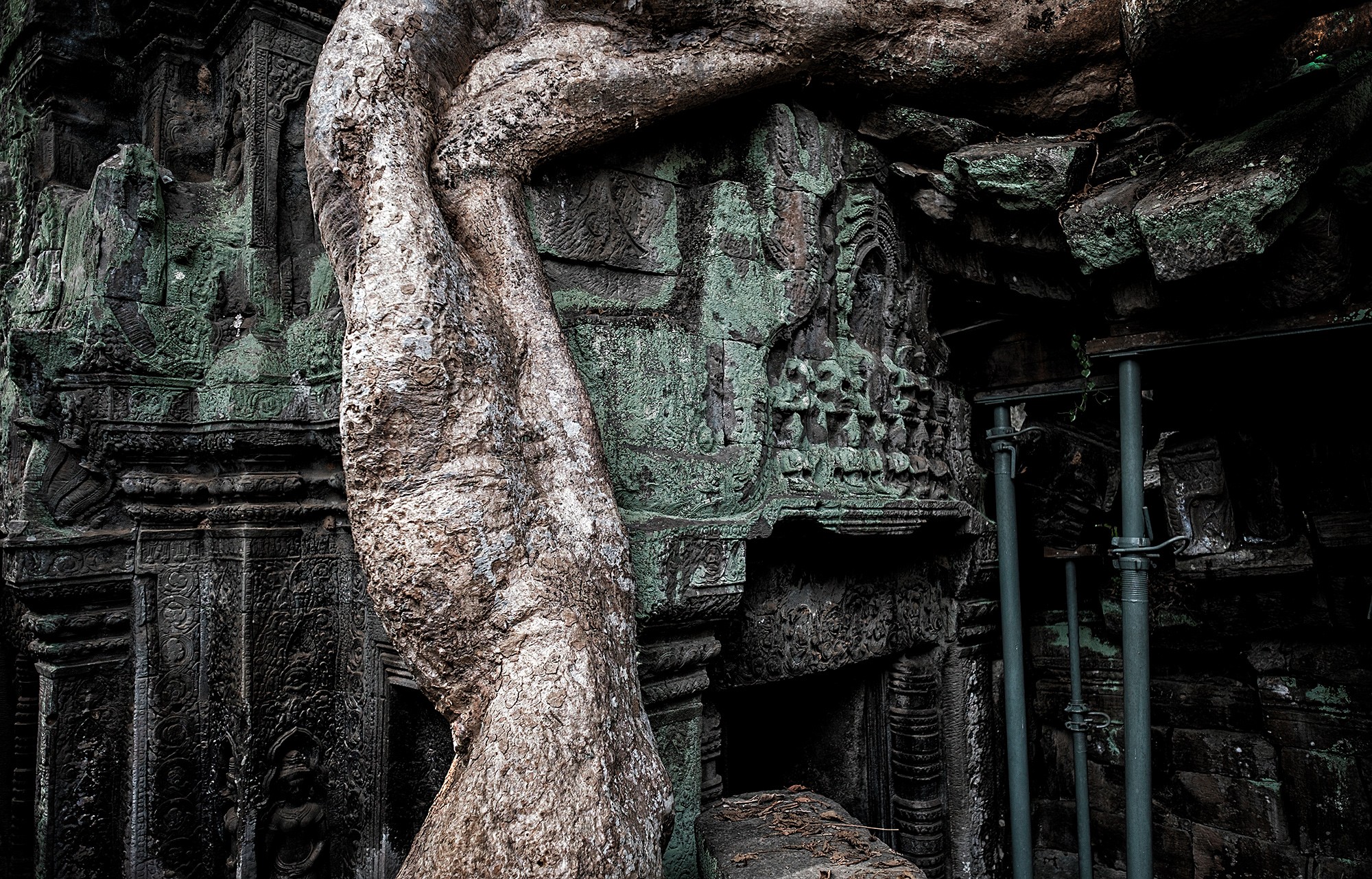 taprohm24b