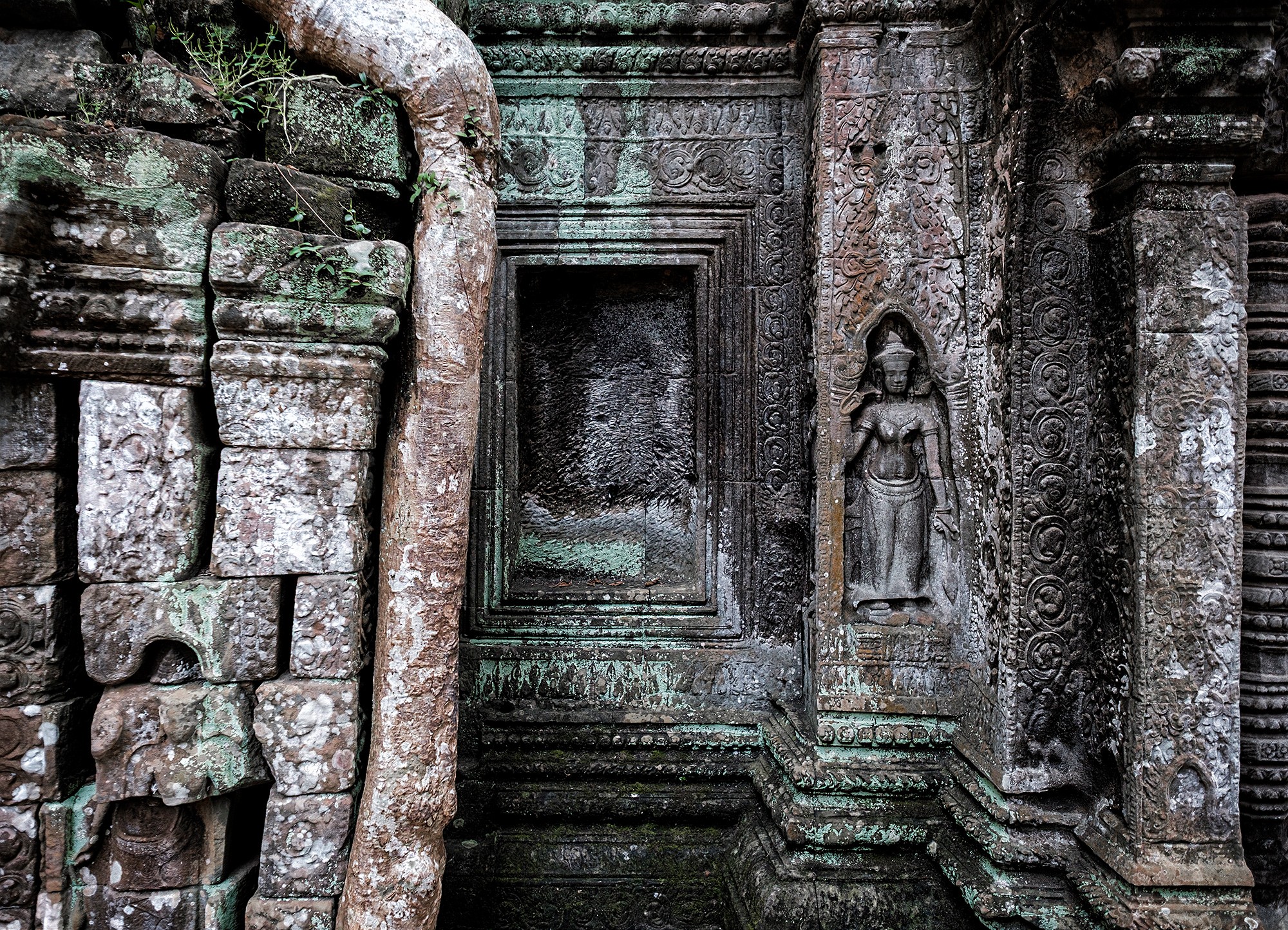 taprohm25b