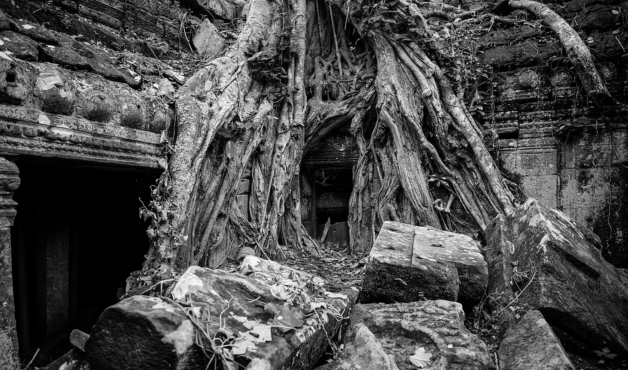 taprohm26b