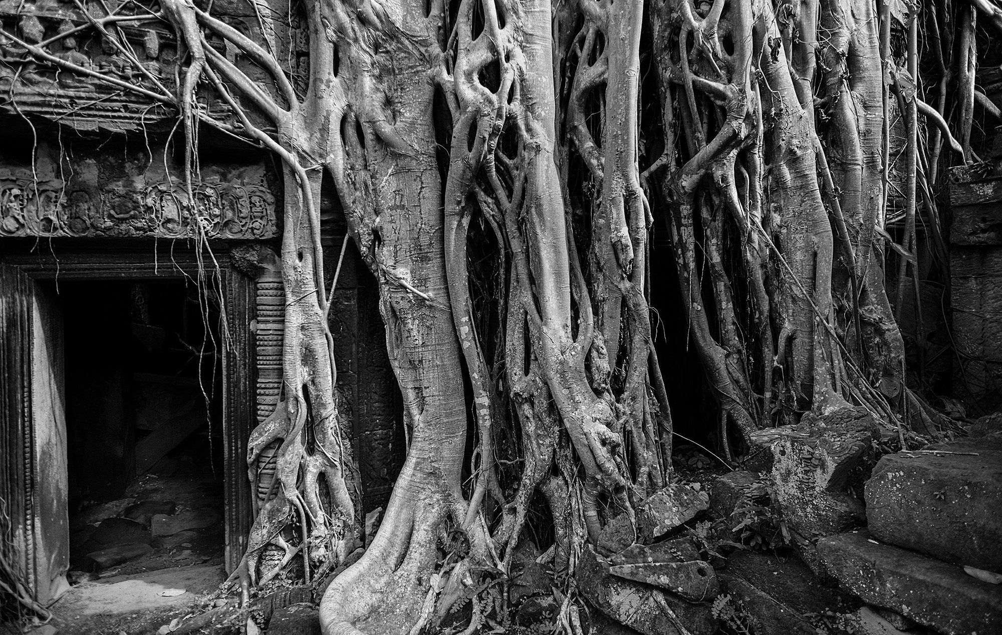 taprohm27b