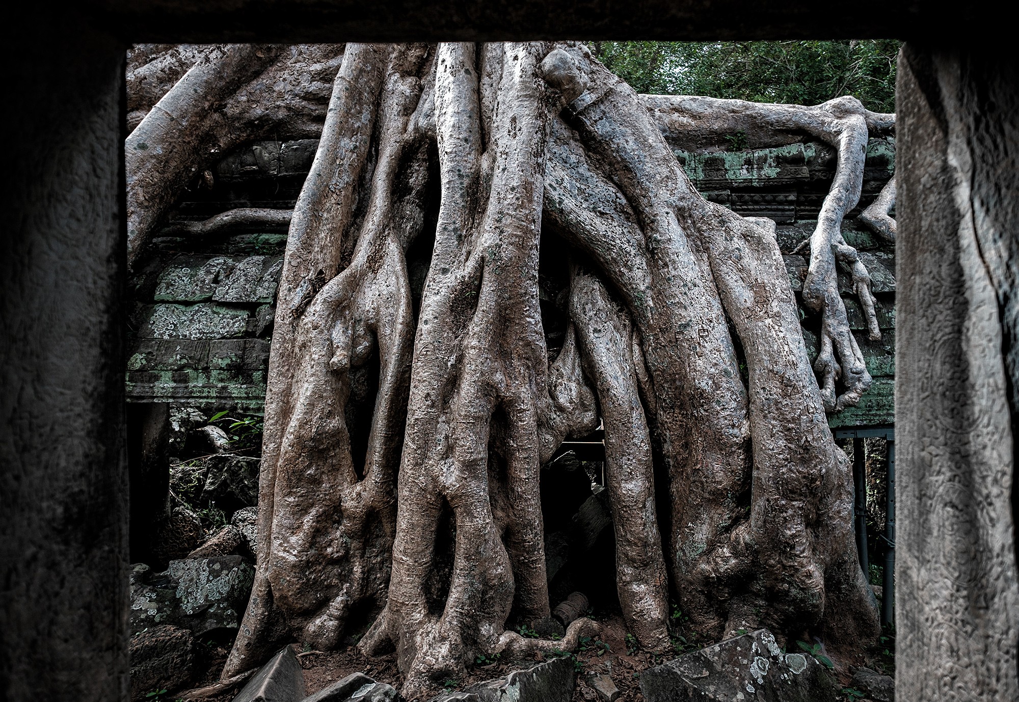 taprohm28b
