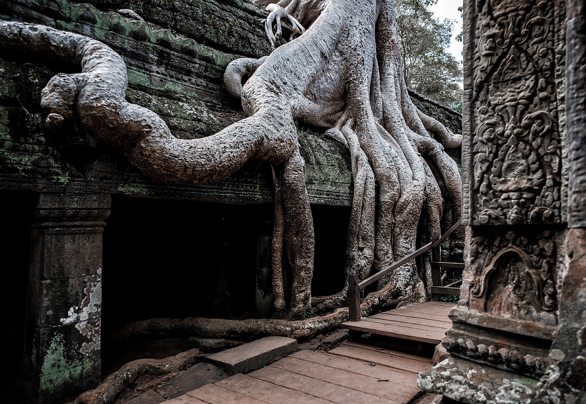 taprohm29b