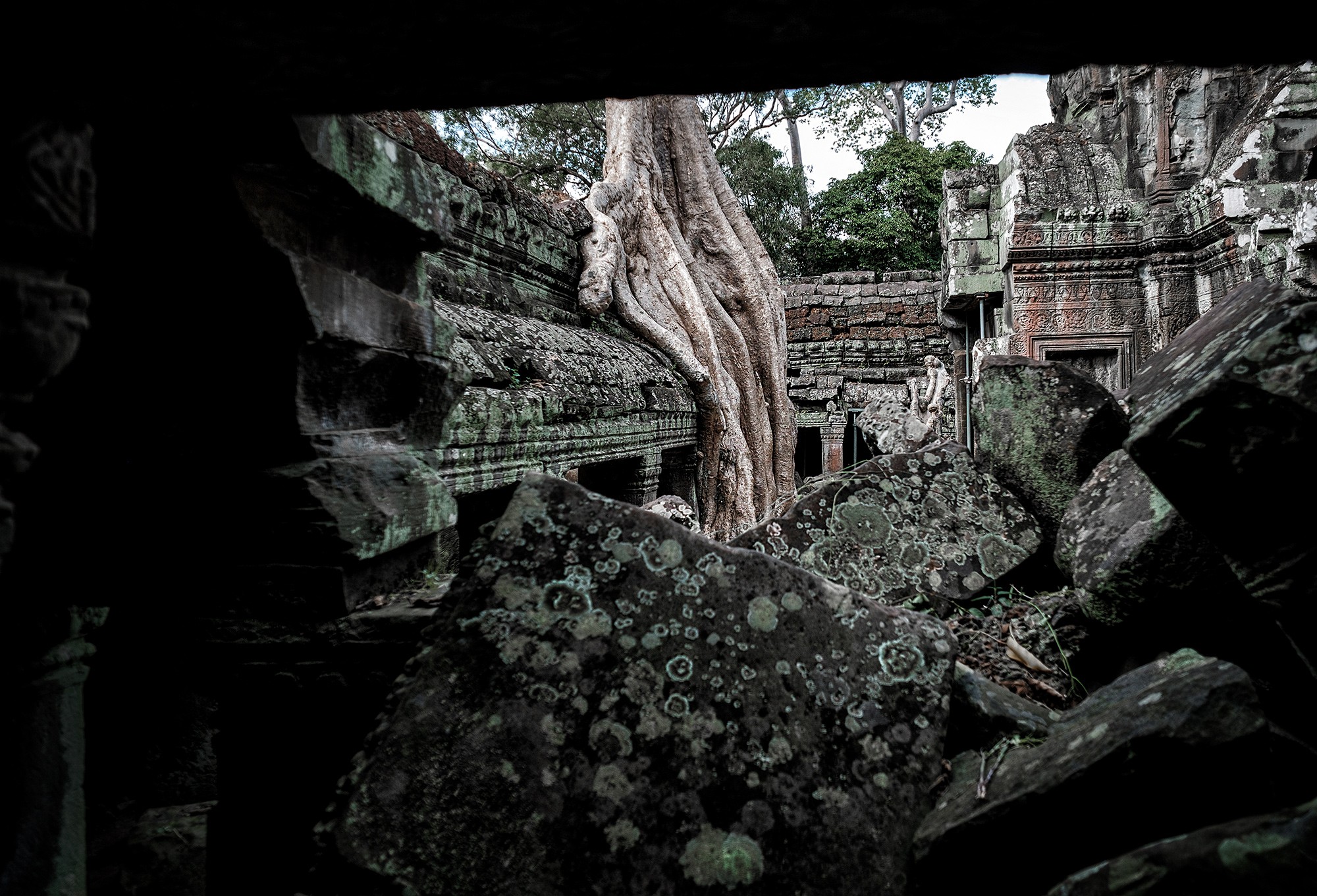 taprohm30b