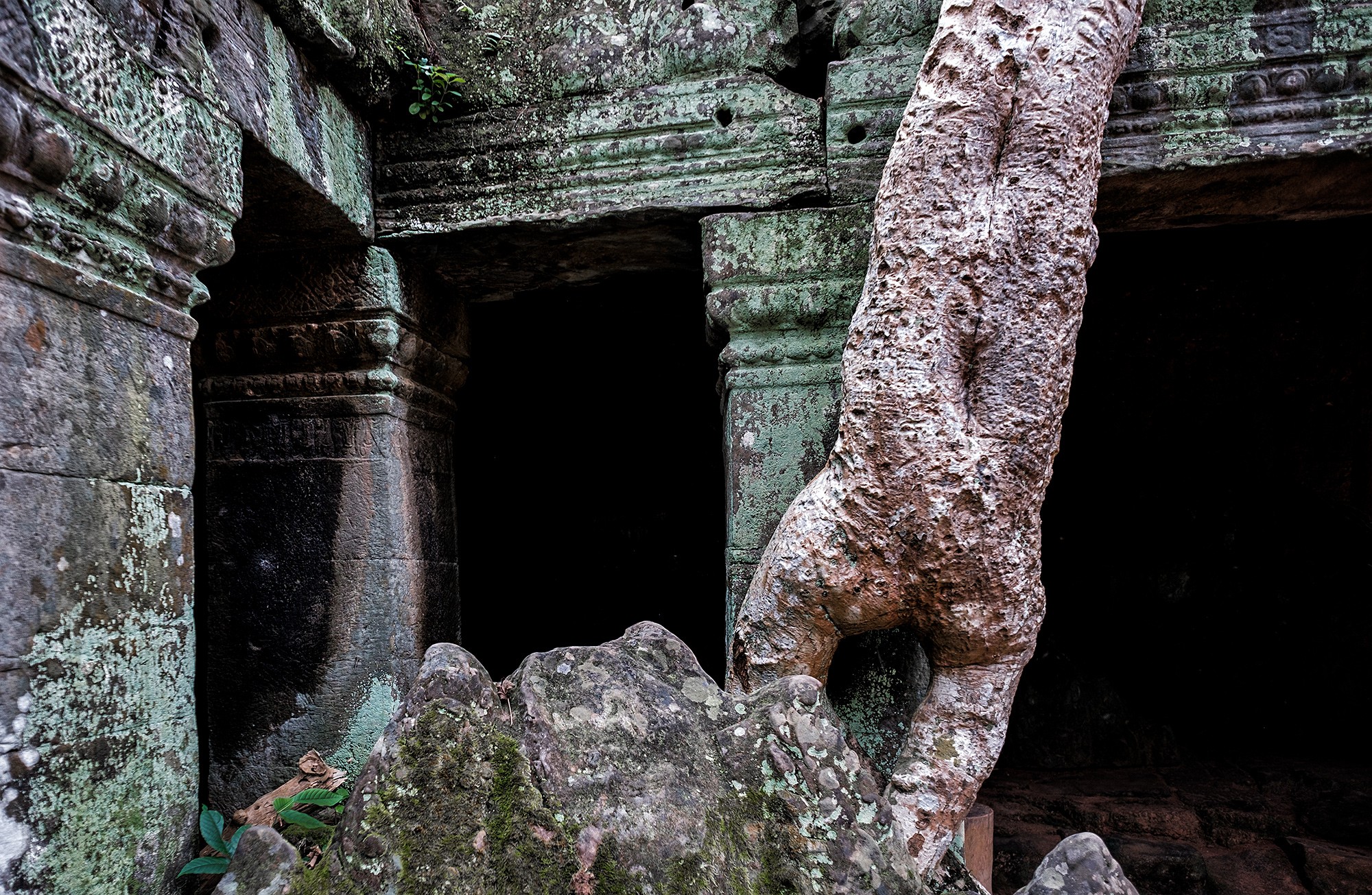 taprohm31b